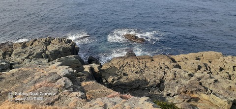 131-116(30-30)大島津和瀬キャンプ場40410