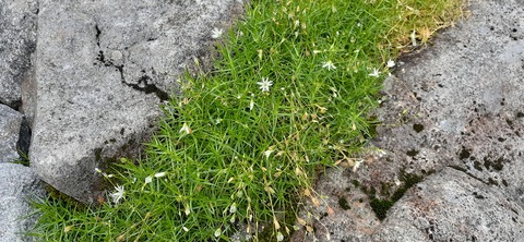 272-252(9-8) 上高地穂高岳814_154032