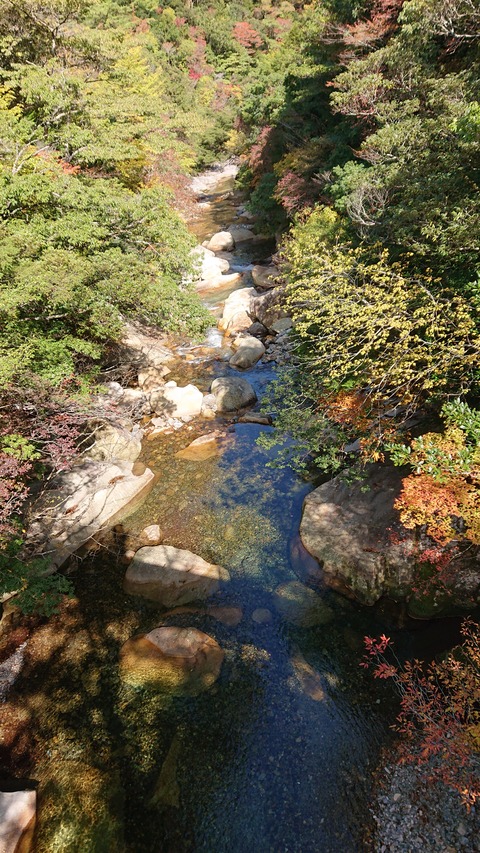 68-55(23-19)藤河内渓谷キャンプ場231S