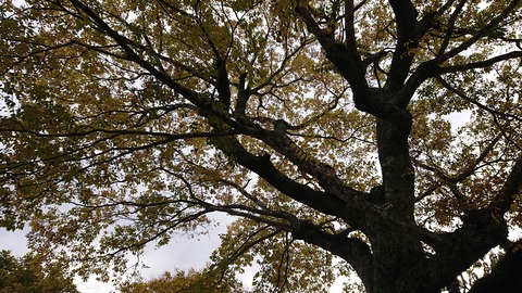 69-56(24-20)歌瀬キャンプ場311S