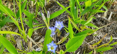 159-144(1-1)遊牧民521_161628