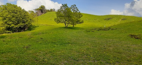 159-144(1-1)遊牧民521_161409