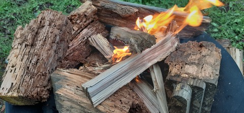 152-137(51-51)阿蘇夢蛍キャンプ場429_161815