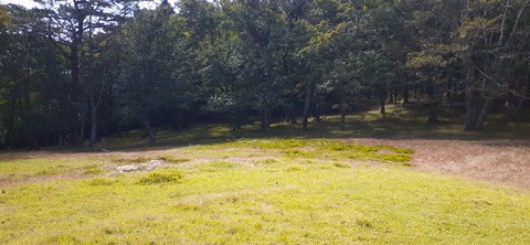 277-257(14-13)傾山1012_120630