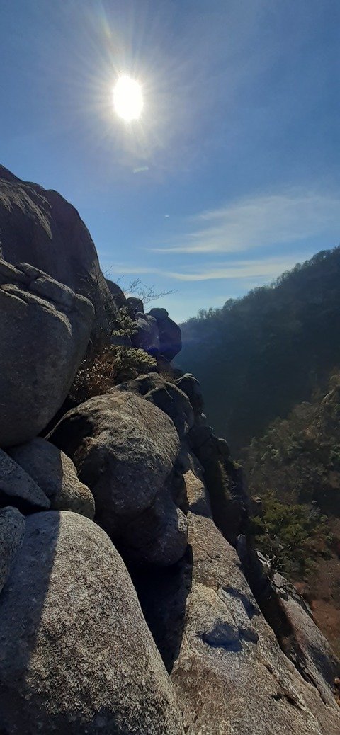 236-219(25-24)大崩山1104_095933