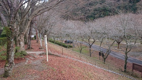 130-115(29-29)新平ヶ原公園キャンプ場861