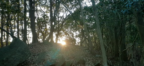 251-232(40-37)大坂山障子ヶ岳218_072351