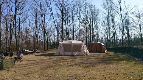 126-111(25-25)CAMP✕WOODS366R