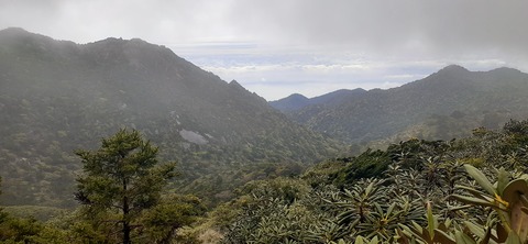 260-241(49-46)宮之浦岳淀川小屋501_153003