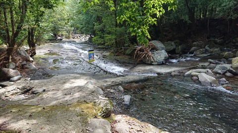 61-50(16-14)郭公の郷キャンプ場664S