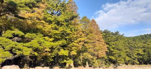 234-217(23-22)広川原キャンプ場1029_082441
