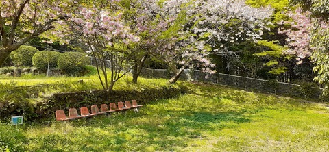 150-1345(49-49)吉井百年公園10_102609