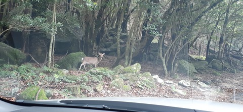 258-239(47-44)オーシャンビュー429_140236