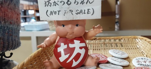 251-232(40-37)法華院温泉山荘2泊目223_140511