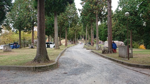 69-56(24-20)歌瀬キャンプ場303S