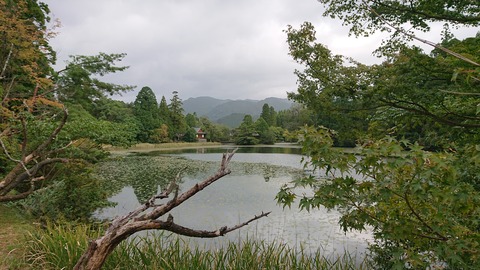 18-15池の山キャンプ場561