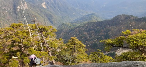 236-219(25-24)大崩山1104_143316