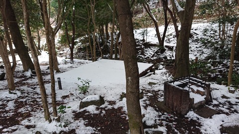 81-67(36-31)深坂自然の森282