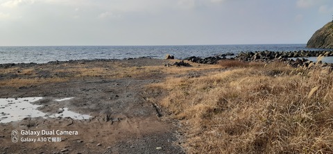 131-116(30-30)大島津和瀬キャンプ場44821