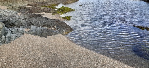 189-173(31-30)大島加代海岸103_133555