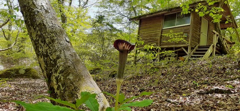 153-138(52-52)マゼノ 甲の瀬キャンプ村430_114724