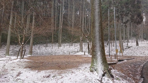 78-63(33-29)北山キャンプ場69S