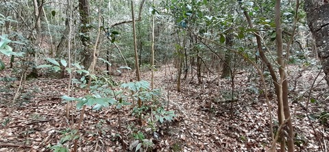 144-129(43-43)スゼンジハウスオープンエア26_105815