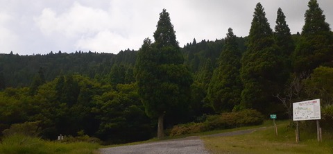 268-248(5-4)万年山616_103408