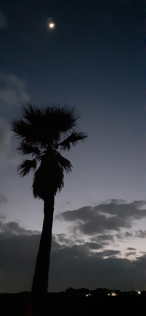 198-182(40-39)キワラビーチ225_184209