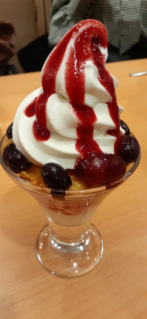 182-166(24-23)牧の原キャンプ場2回目1113_192708