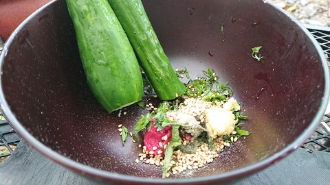 109-94(8-8)背振山キャンプ場853