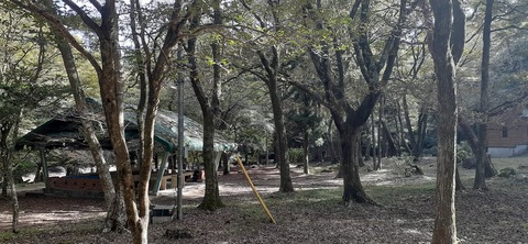 234-217(23-22)広川原キャンプ場1028_130751