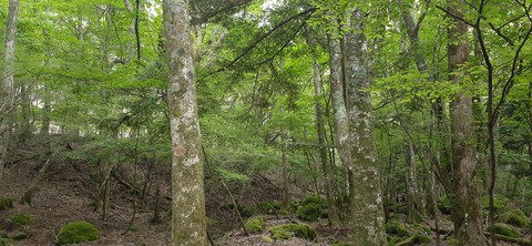 266-247(3-3)天空の杜602_072738