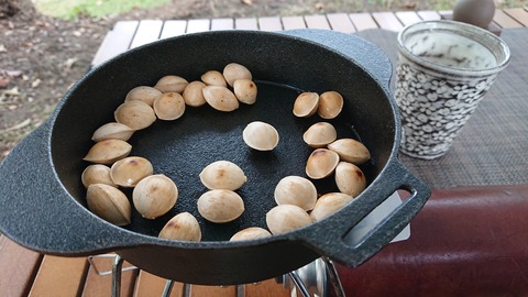 121-106(20-20)九重山麓風の丘661