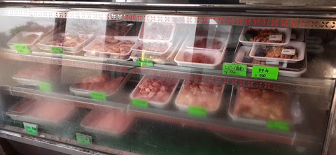 241-224(30-29)奥霧島御池キャンプ場②1126_102958