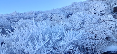 245-227(34-32)法華院温泉山荘104_092623