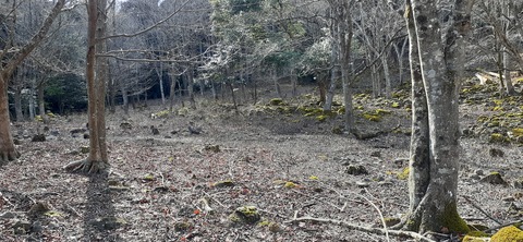 192-176(34-33)牧の原3121_125035