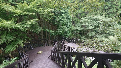 115-100(14-14)ｸﾞﾗﾝﾋﾟﾝｸﾞKAWASAKI616