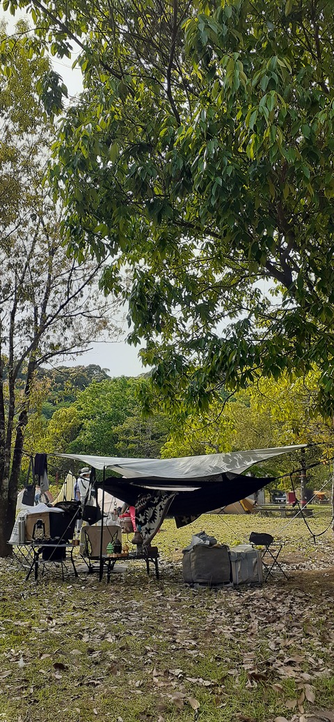 155-140(54-54)うめキャンプ村504_150235