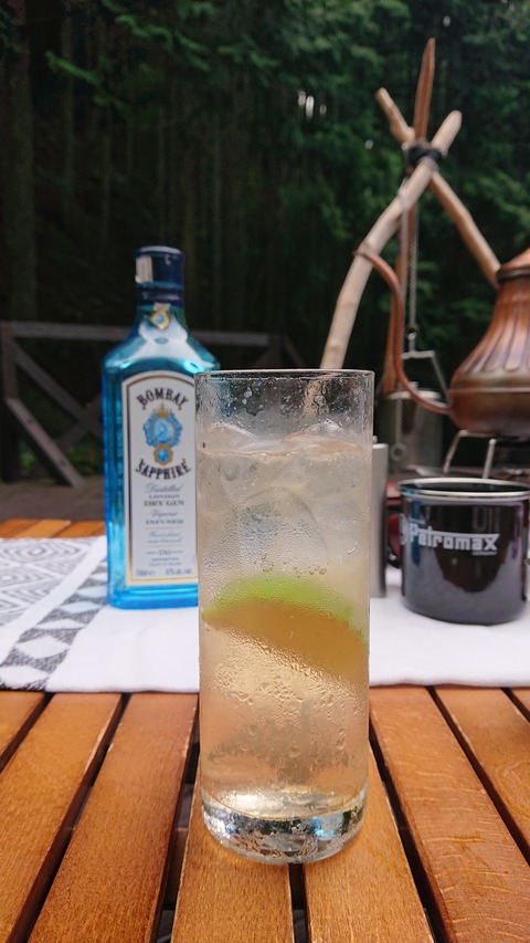 118-103(17-17)グランピングKAWASAKI２89S