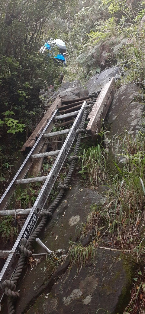 257-238(46-43)開聞岳428_084847