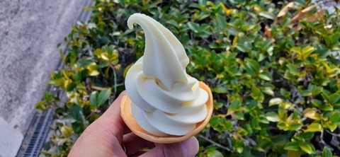 241-224(30-29)奥霧島御池キャンプ場②1126_124319