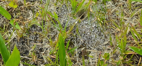 159-144(1-1)遊牧民521_114902