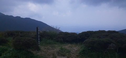 274-254(11-10)坊がツル①906_124906