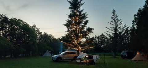 205-189(47-46)ラピュタファーム422_190743