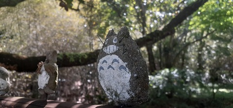 154-139(53-53)中岳キャンプ場503_151302