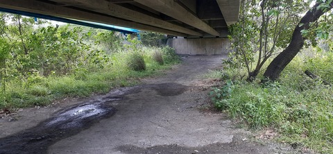 207-191(49-48)津志田河川公園乙女河原501_153542