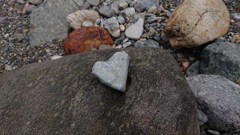 55-44(10-8)カワセミ公園3022S