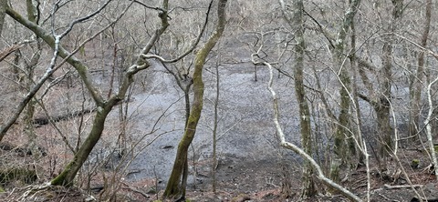 245-227(34-32)法華院温泉山荘103_110632