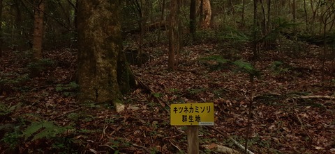 227-210(16-15)スノーピーク奥日田902_133220